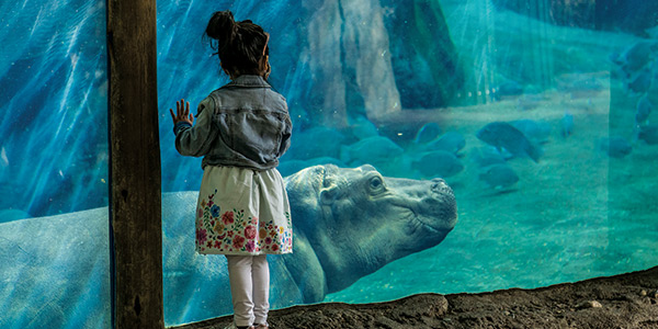 2026 Ohio Travel Guide